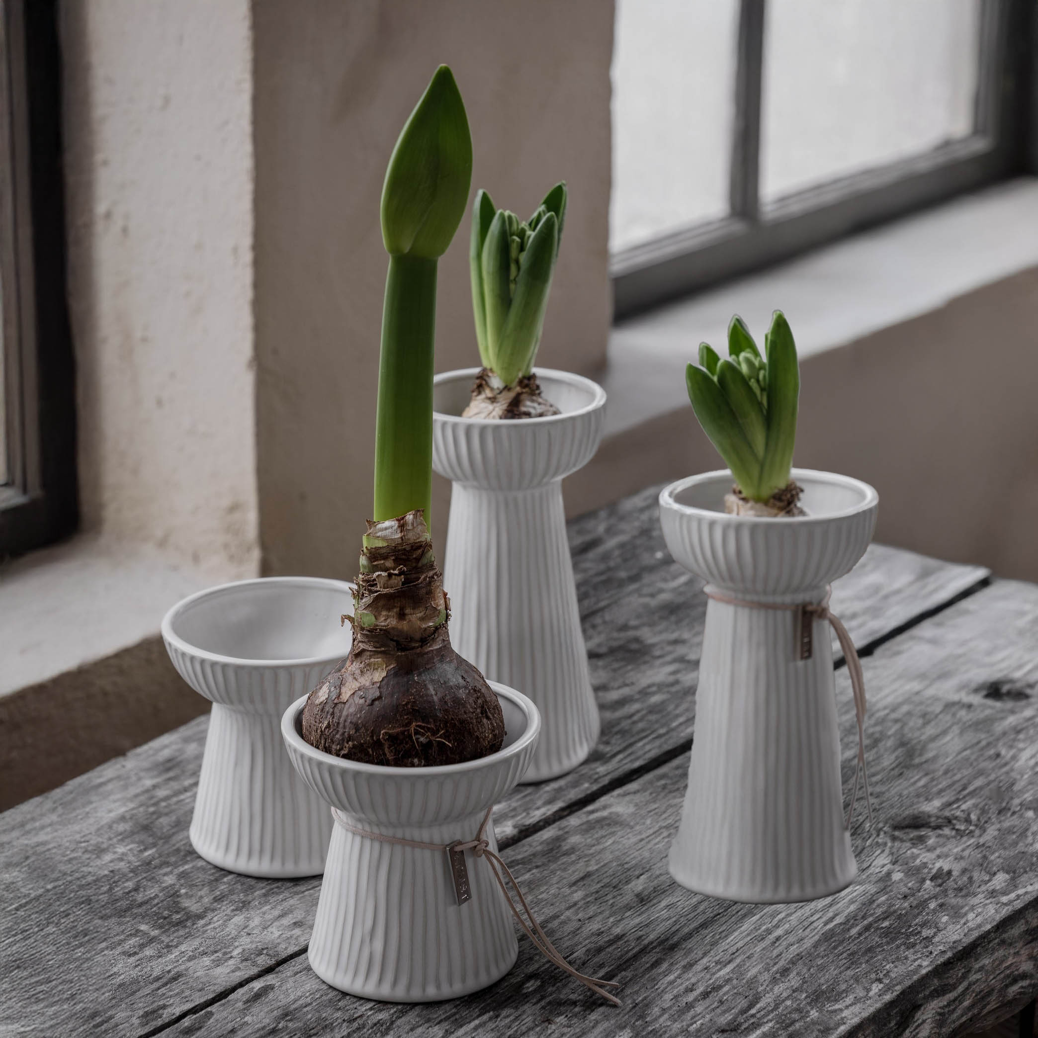 Hyazinthenvase Riffled - creme