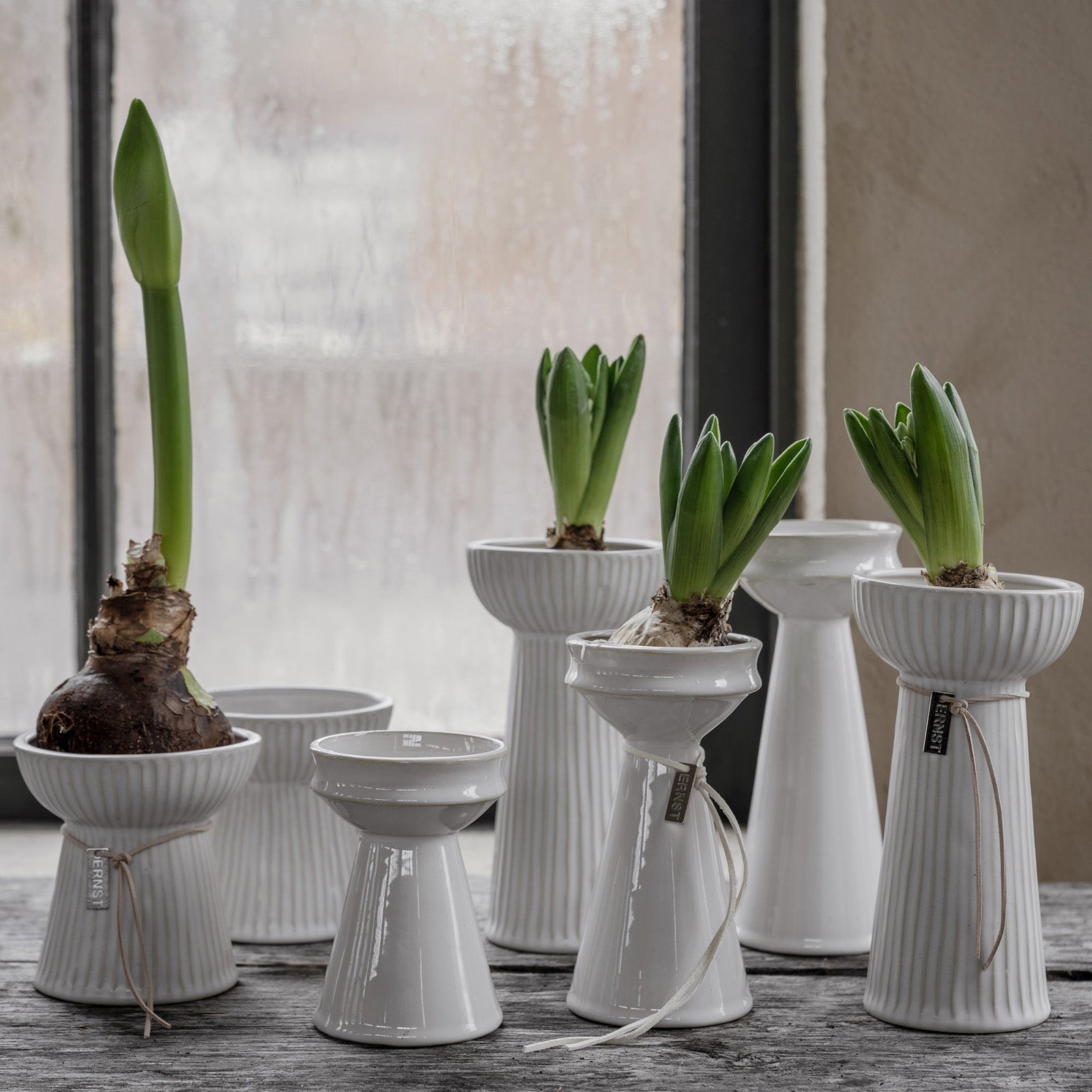 Hyazinthenvase Riffled - creme