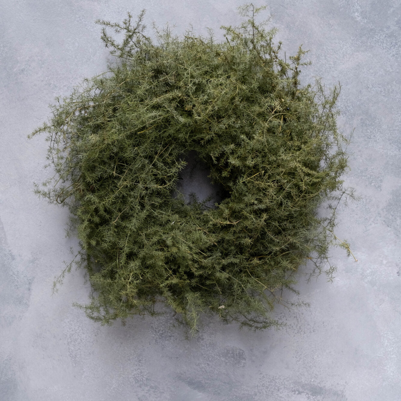 Kranz Asparagus - grün