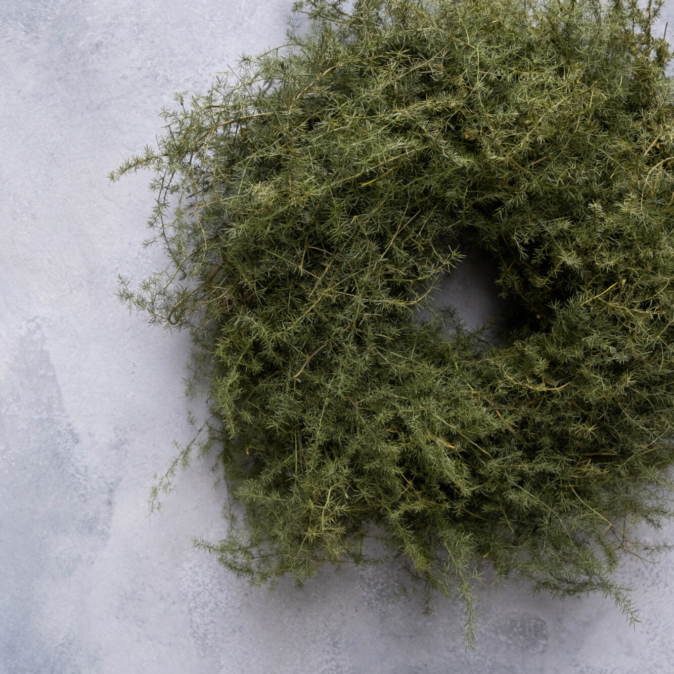 Kranz Asparagus - grün