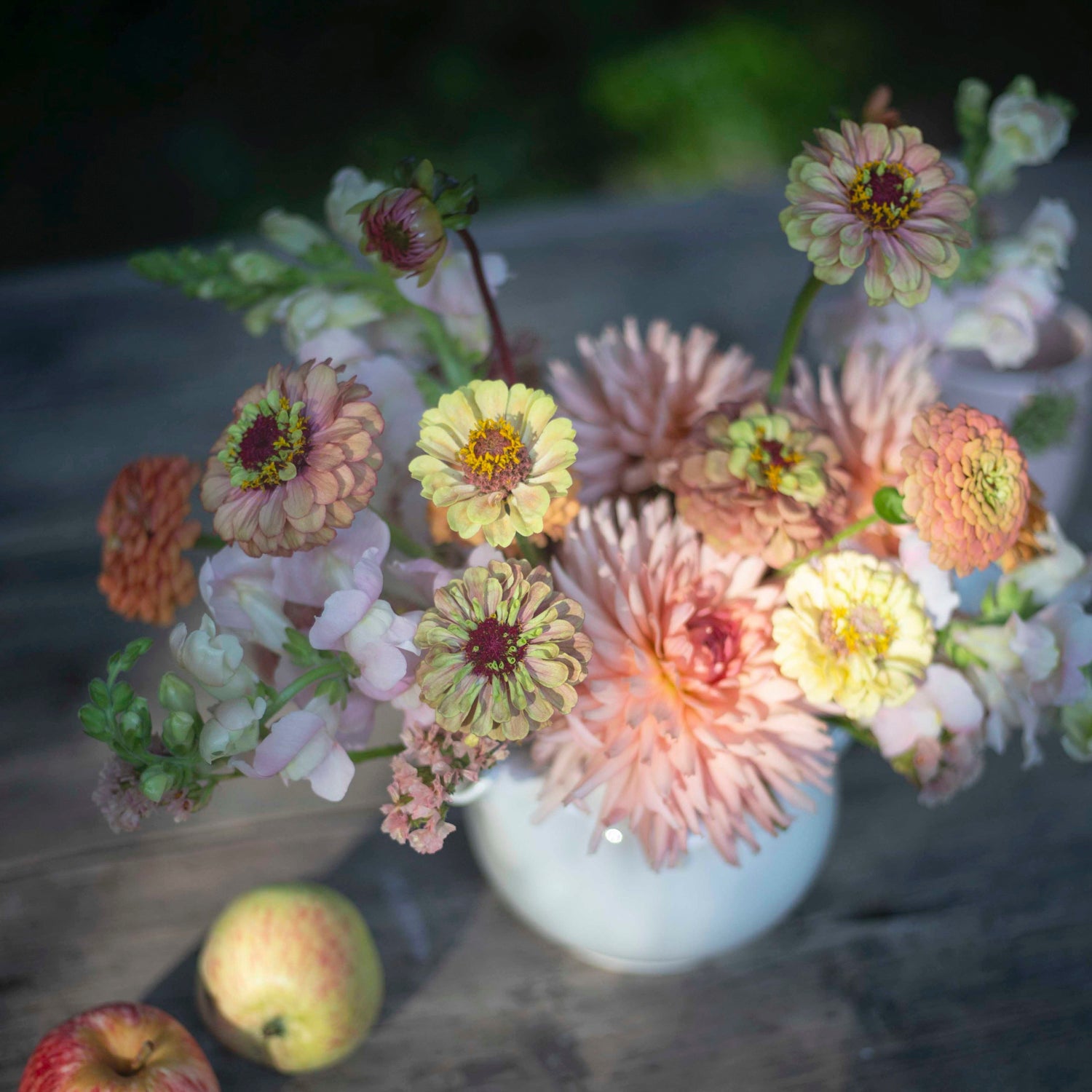 Blumensamen Zinnie Queen Lime Blush