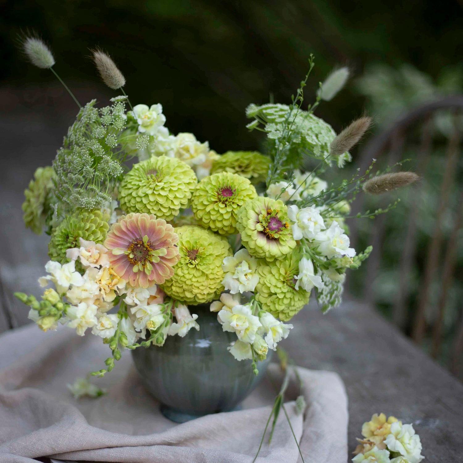 Blumensamen Zinnie Queen Lime Blush