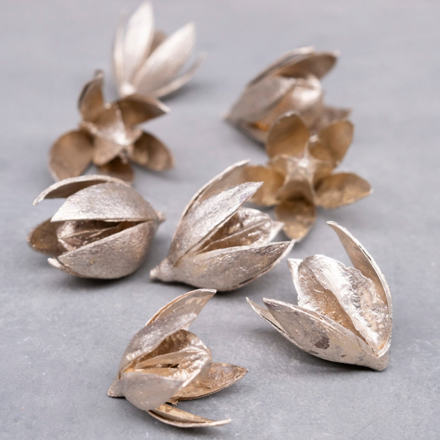 Wild Lily Blüten - platinum