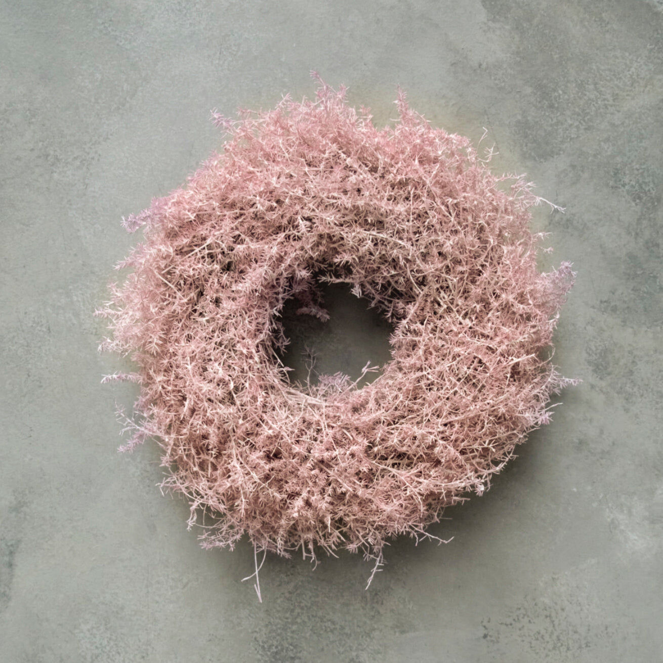 Kranz Asparagus - rosa