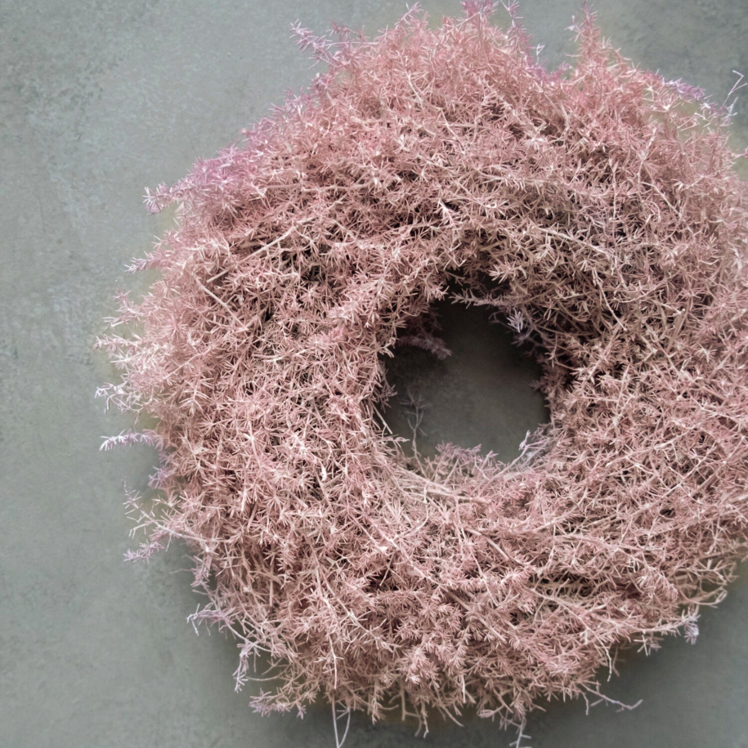 Kranz Asparagus - rosa