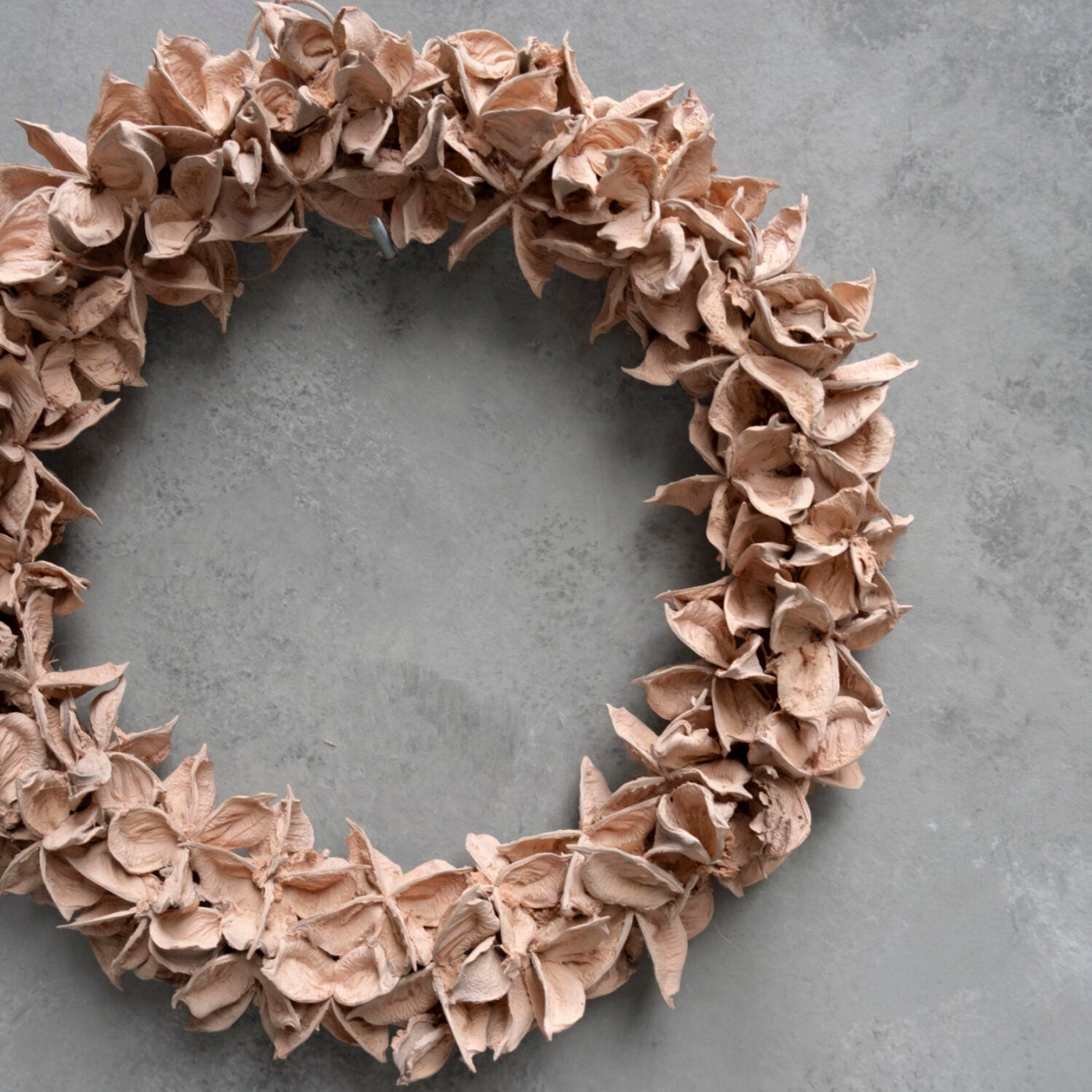 Kranz Cotton Pod - old pink