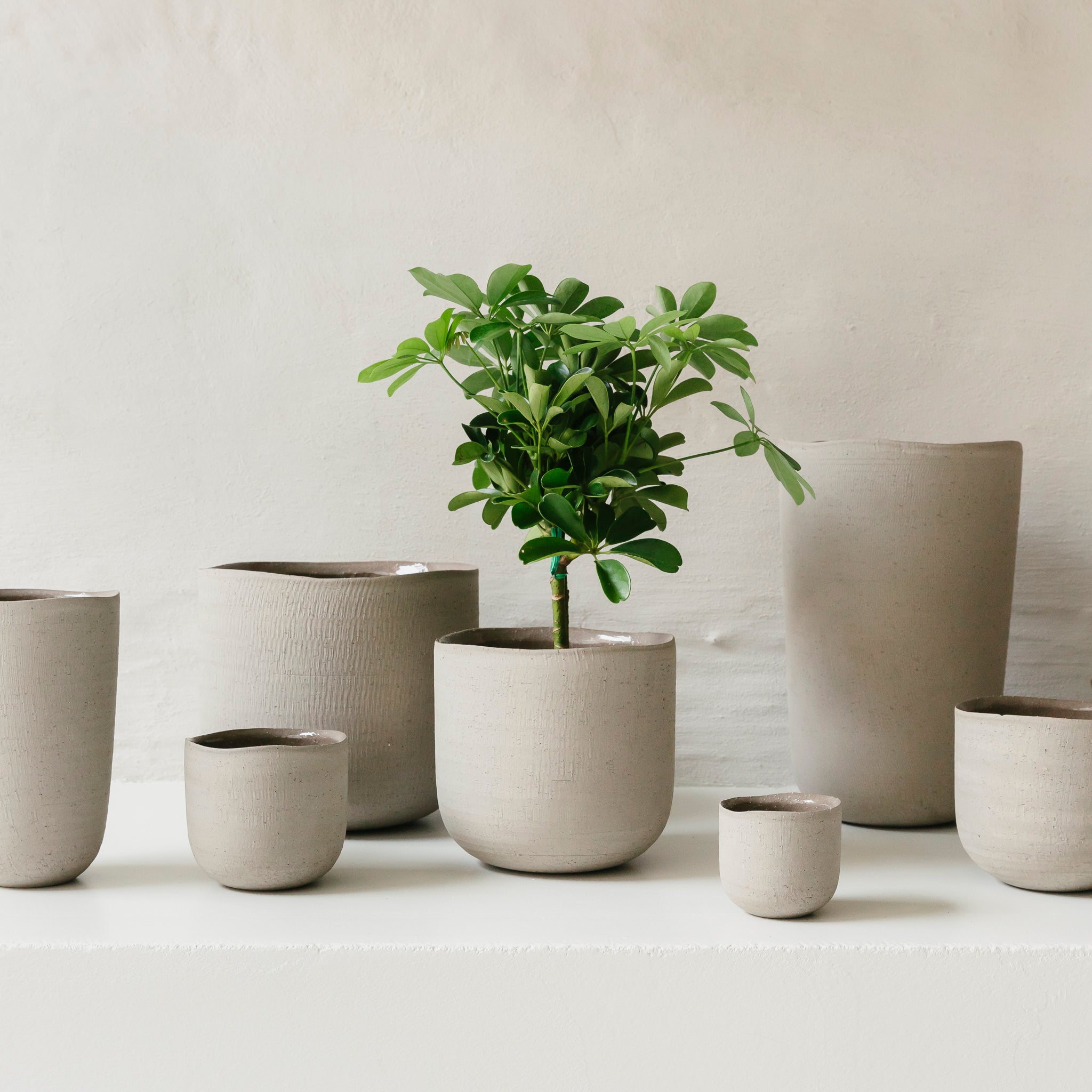 Übertopf Lily - grau