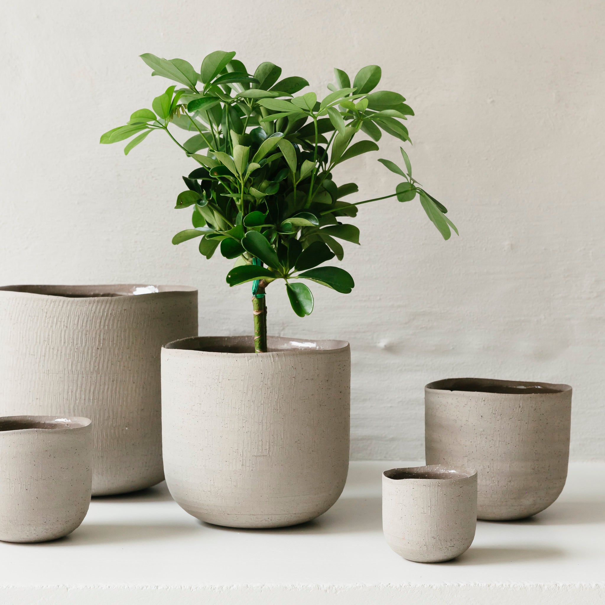 Übertopf Lily - grau