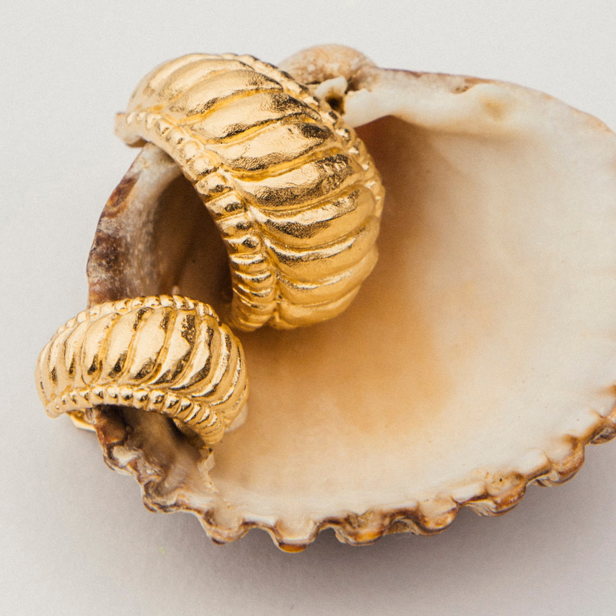 Ohrringe Marea - gold