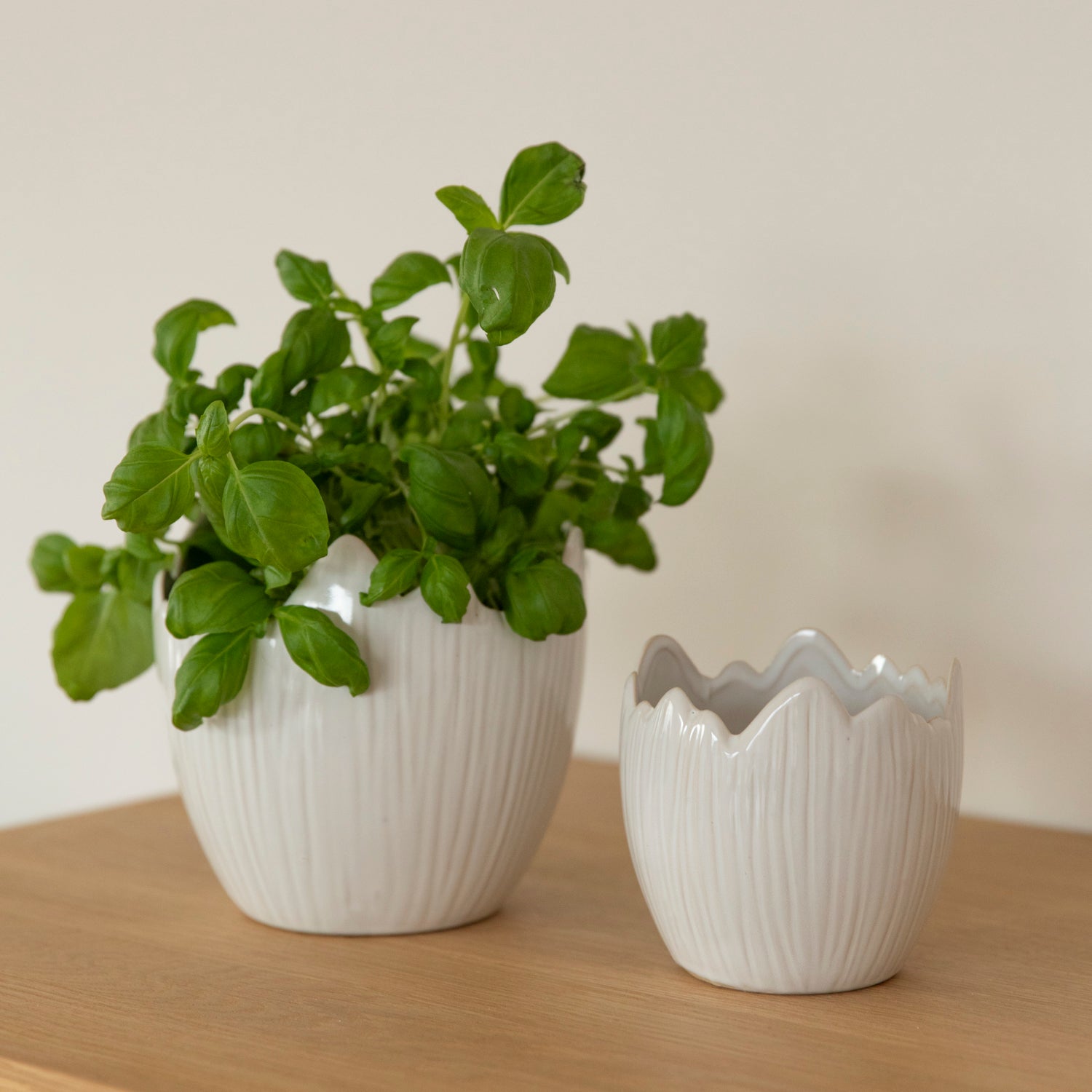 Übertopf Osterei - cremeweiß