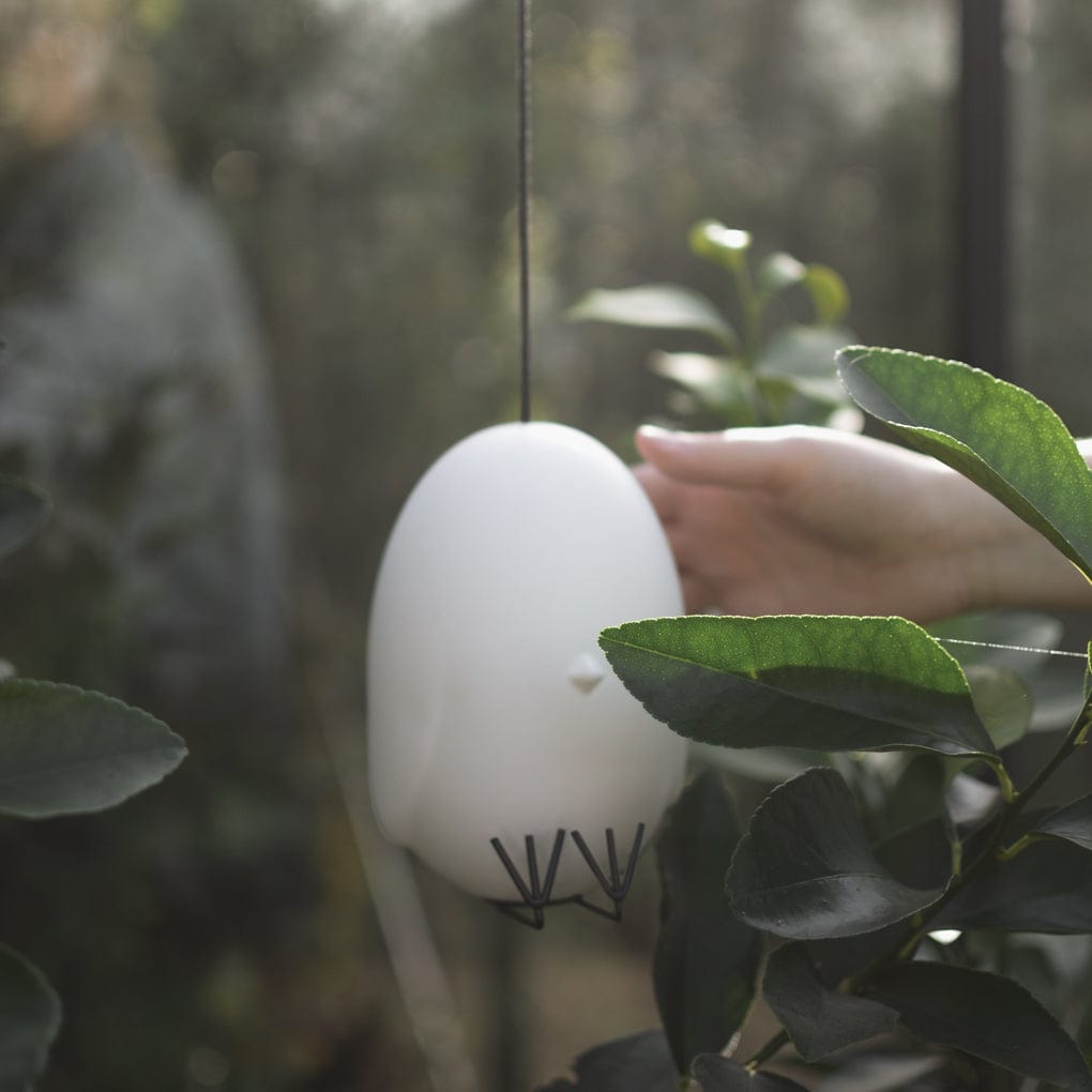 Hang Around Osterdekoration Küken - weiß