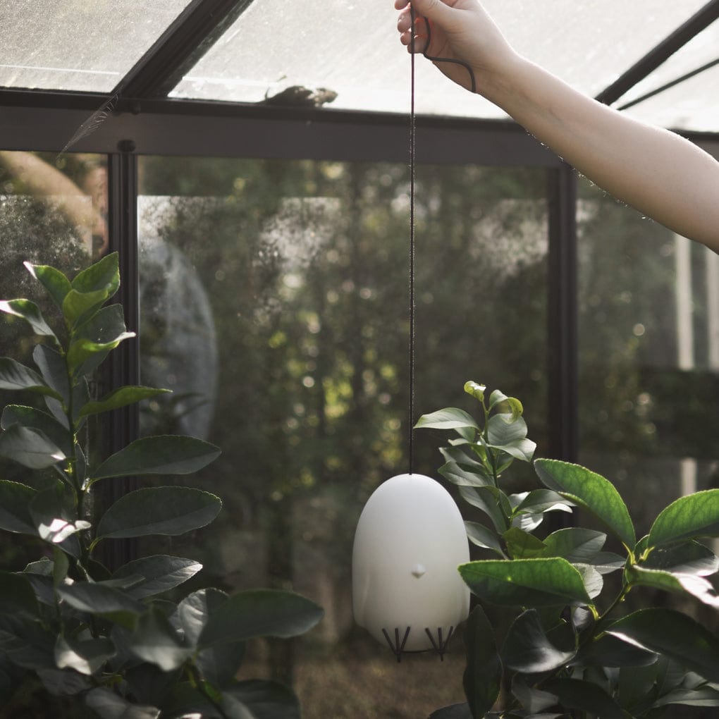 Hang Around Osterdekoration Küken - weiß