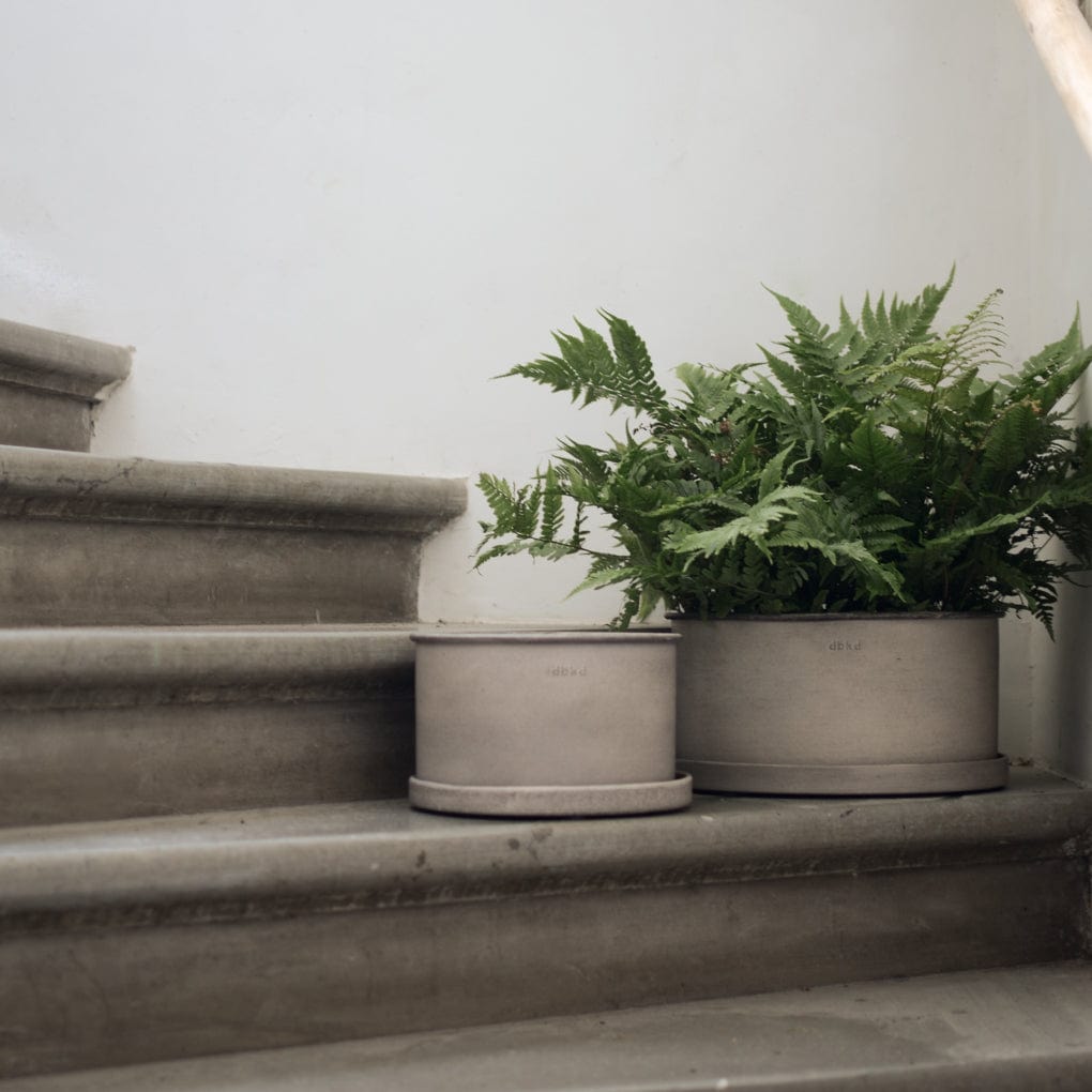 Pflanzschale Plant - beige