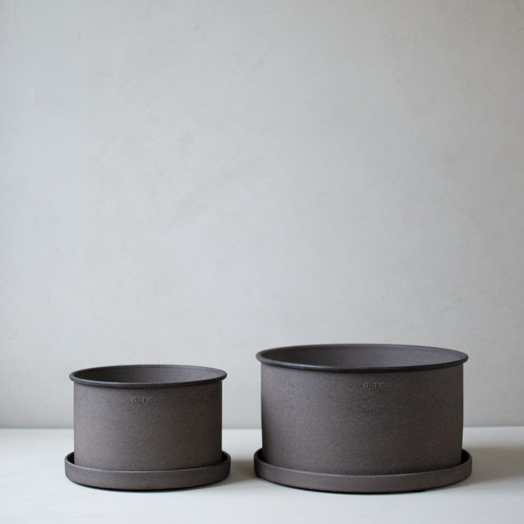 Pflanzschale Plant - braun