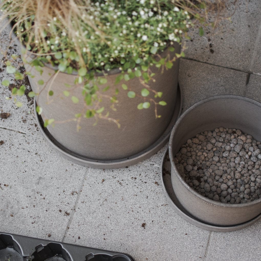 Pflanzschale Plant - braun