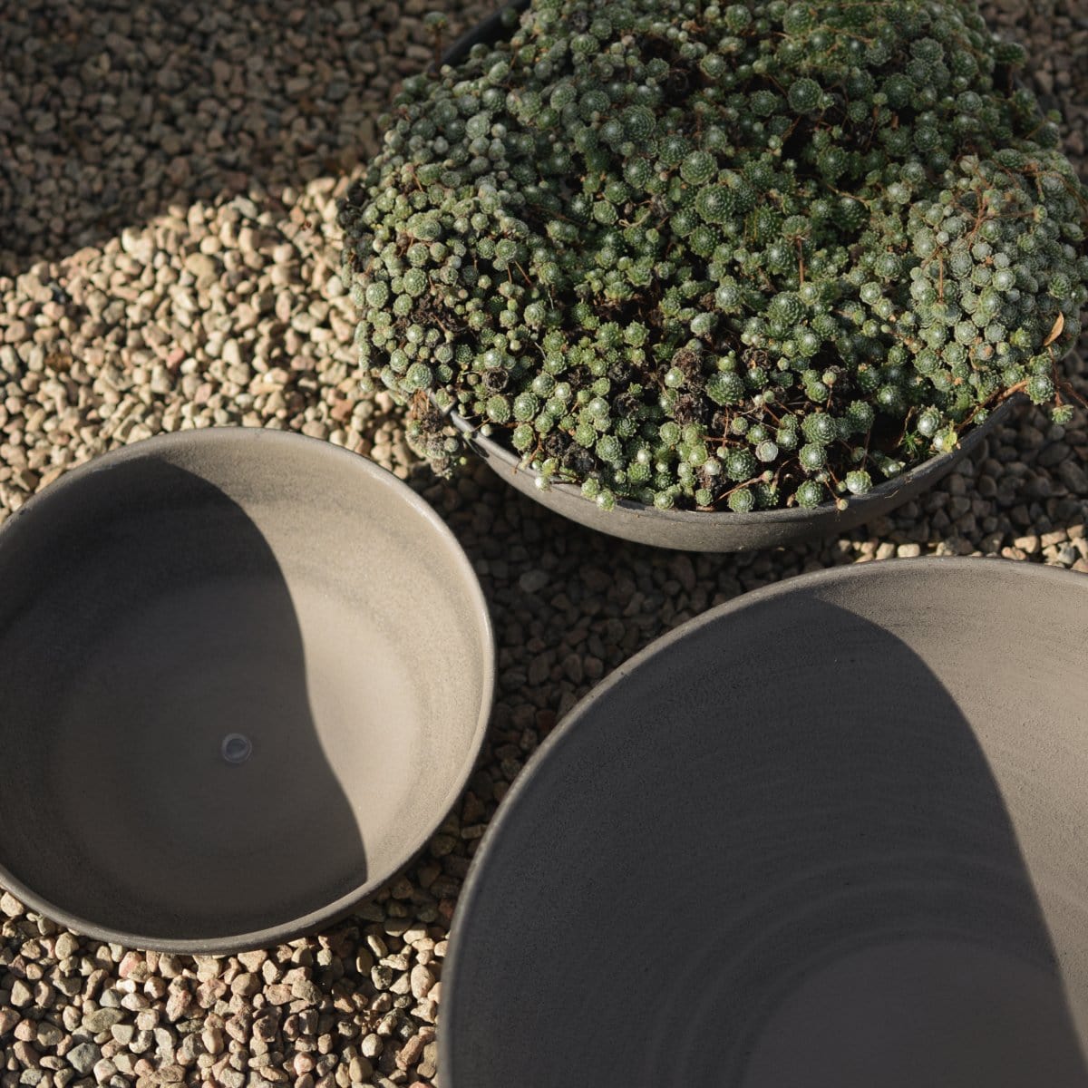 Pflanzschale Out - braun