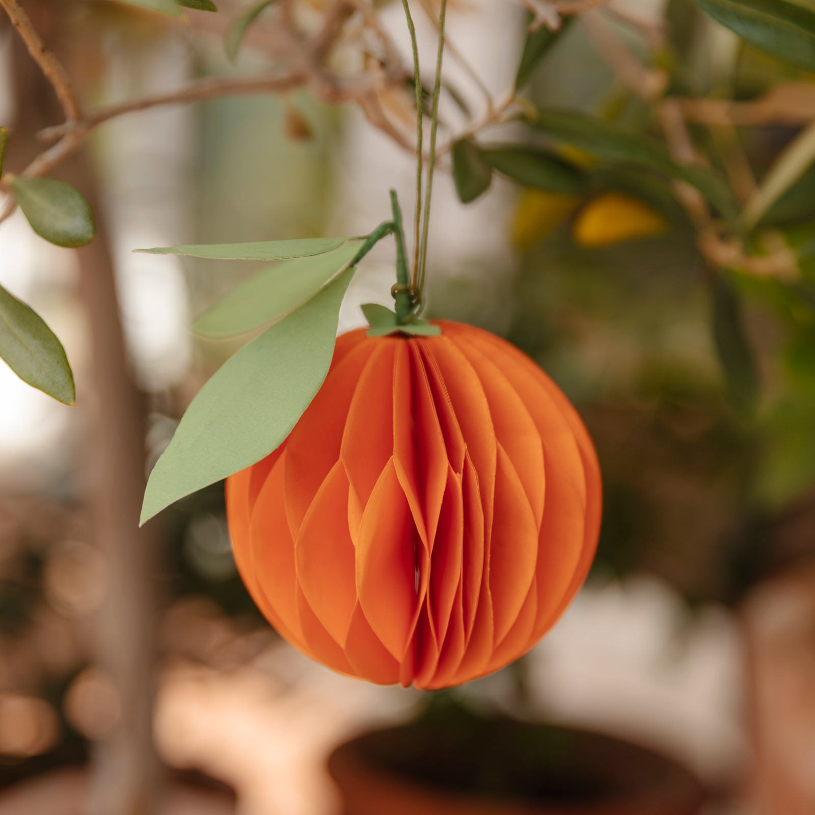 Papieranhänger Orange - orange