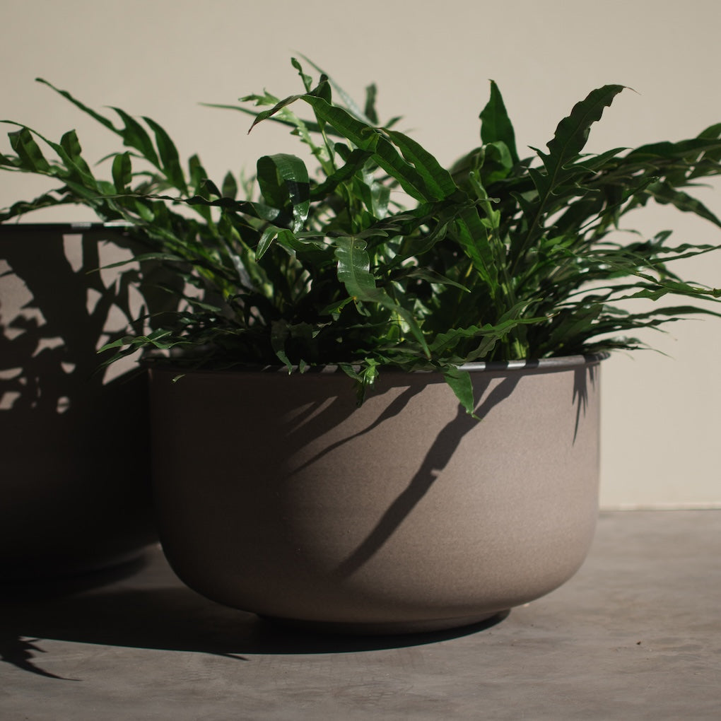 Pflanzschale Out Wide - braun