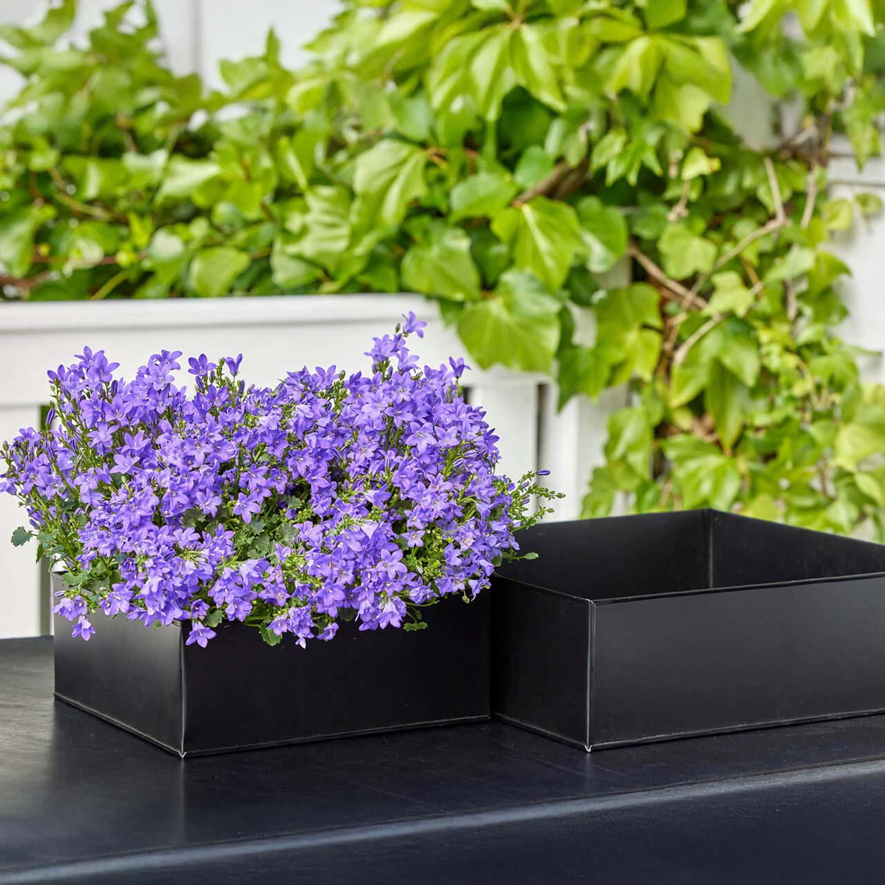 Pflanztablett 3er Set eckig - schwarz