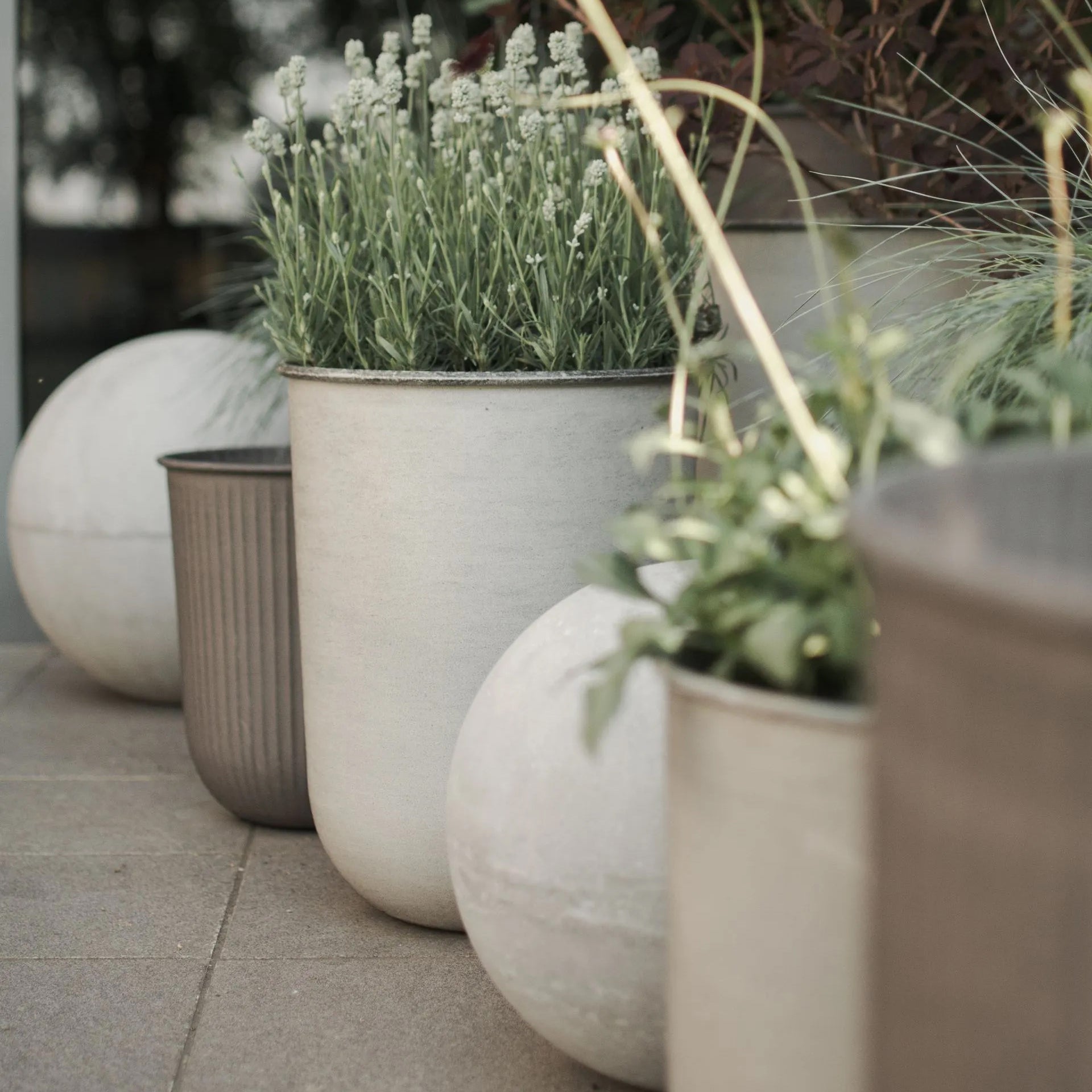 Outdoor-Pflanztopf für Garten und Terrasse von DBKD