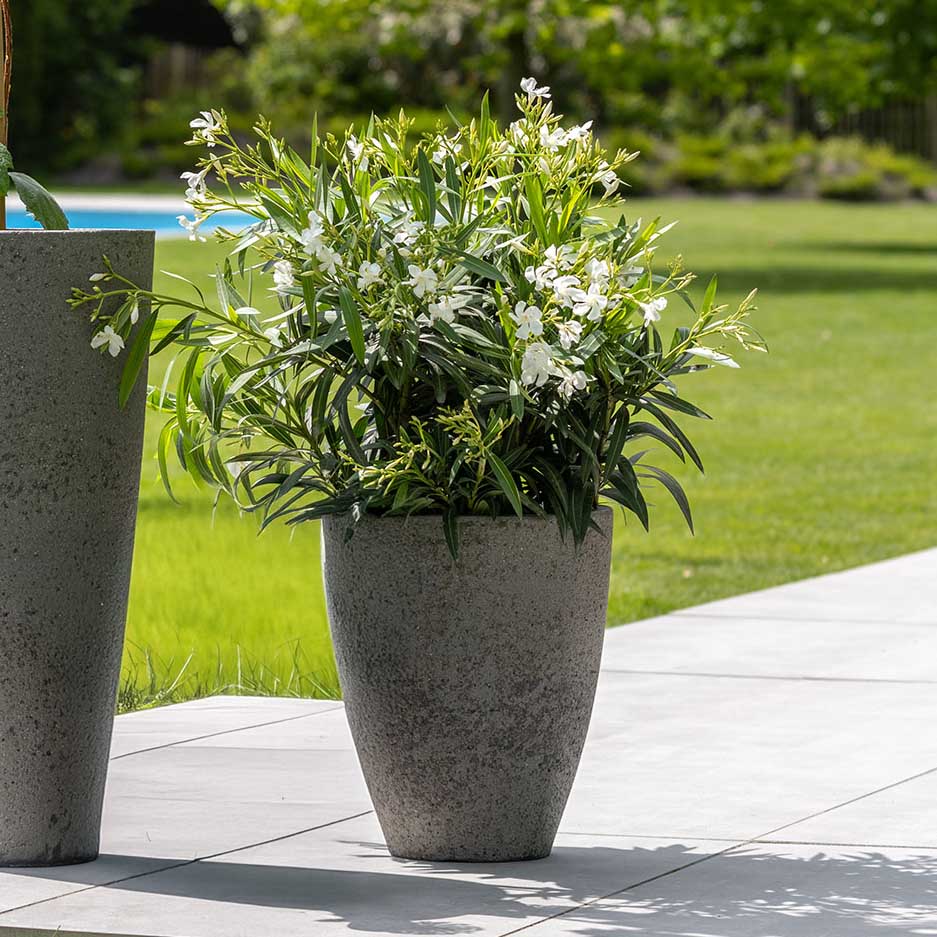 Pflanztopf Ben - diorite grey