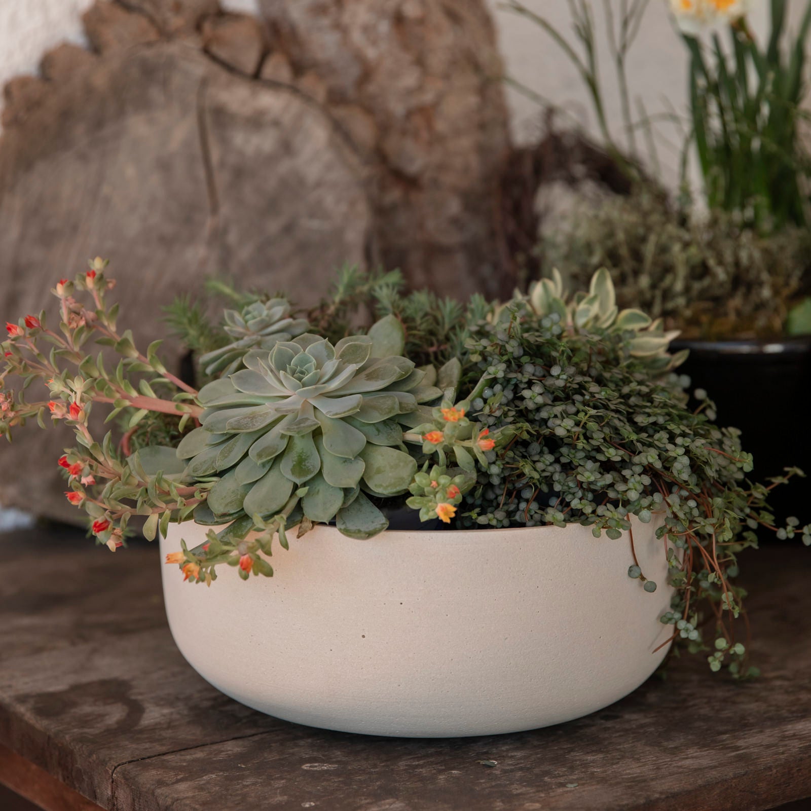 Pflanzschale Eav - natural white