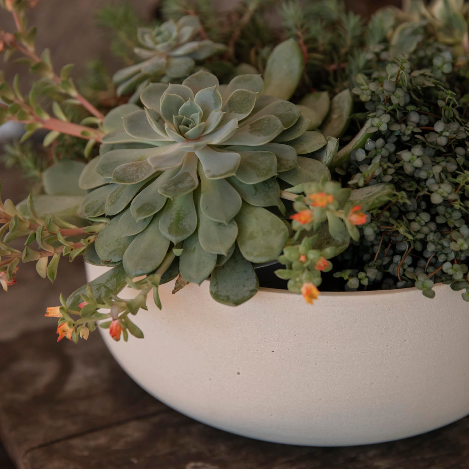 Pflanzschale Eav - natural white