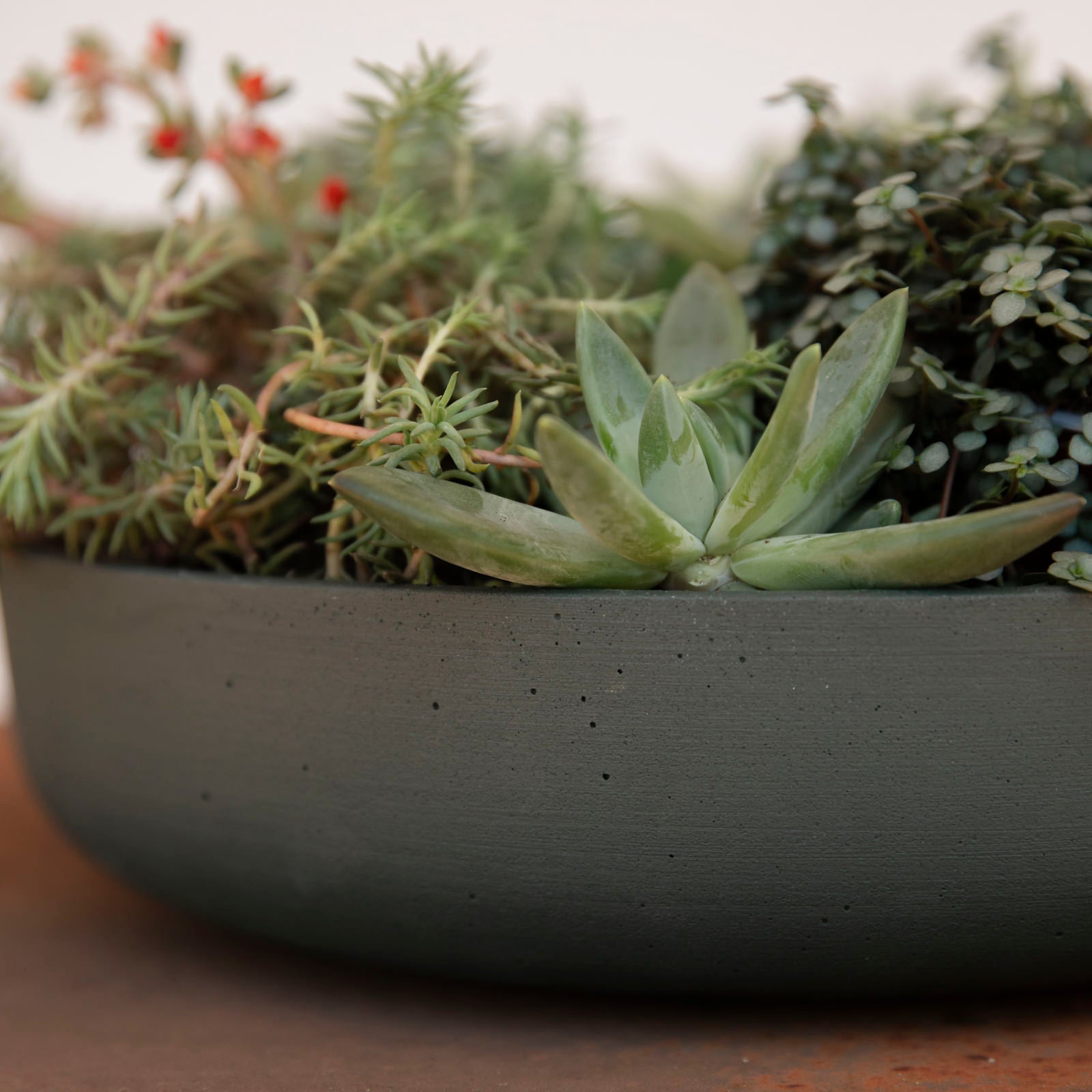 Pflanzschale Eav low - pine green