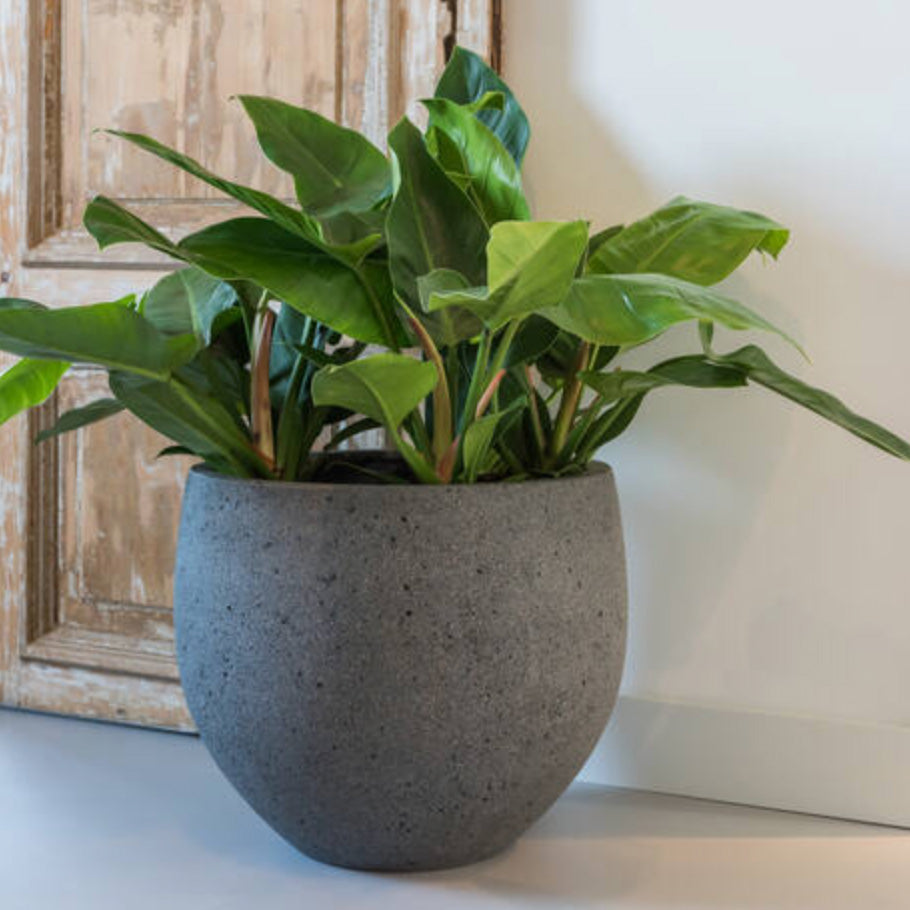 Pflanztopf Mini Orb - diorite grey
