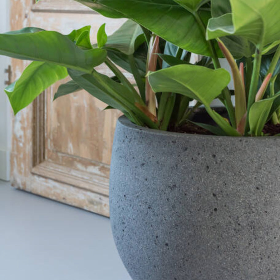 Pflanztopf Mini Orb - diorite grey