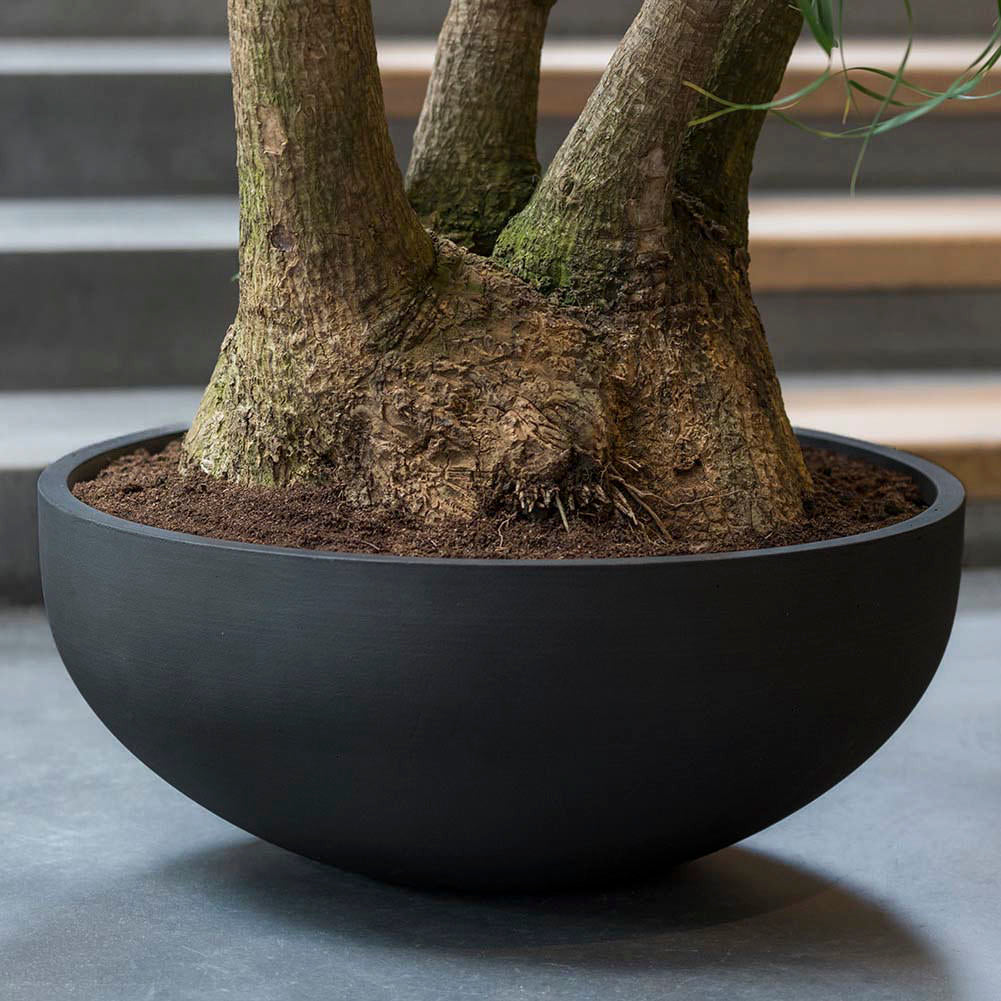 Pflanzschale Morgana - volcano black