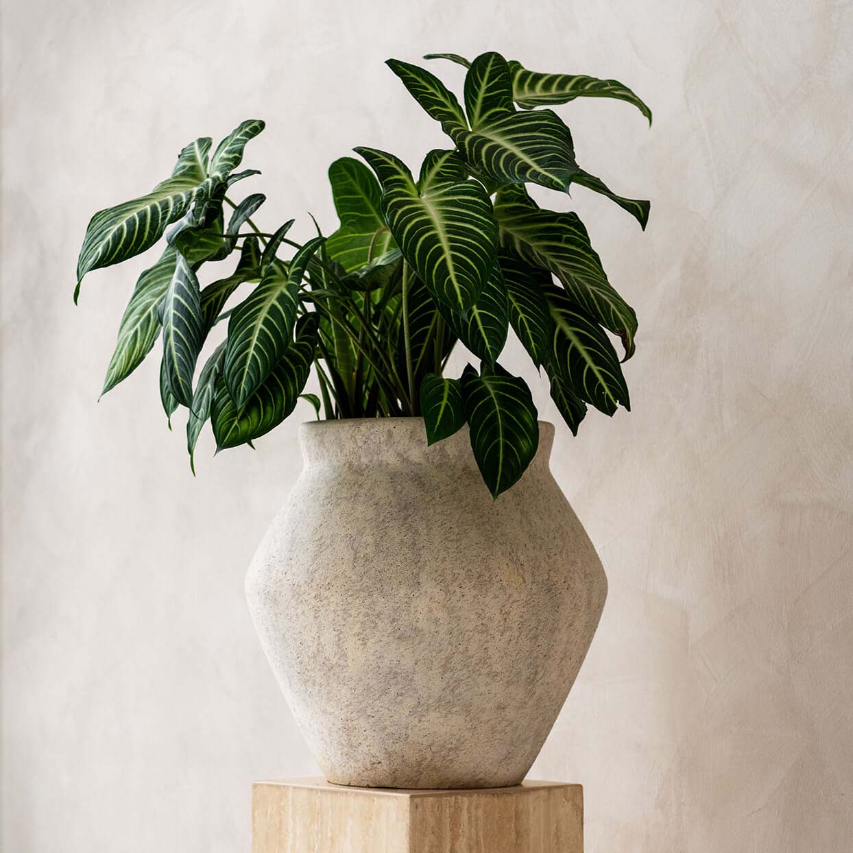 Pflanztopf Fleuri - travertine beige