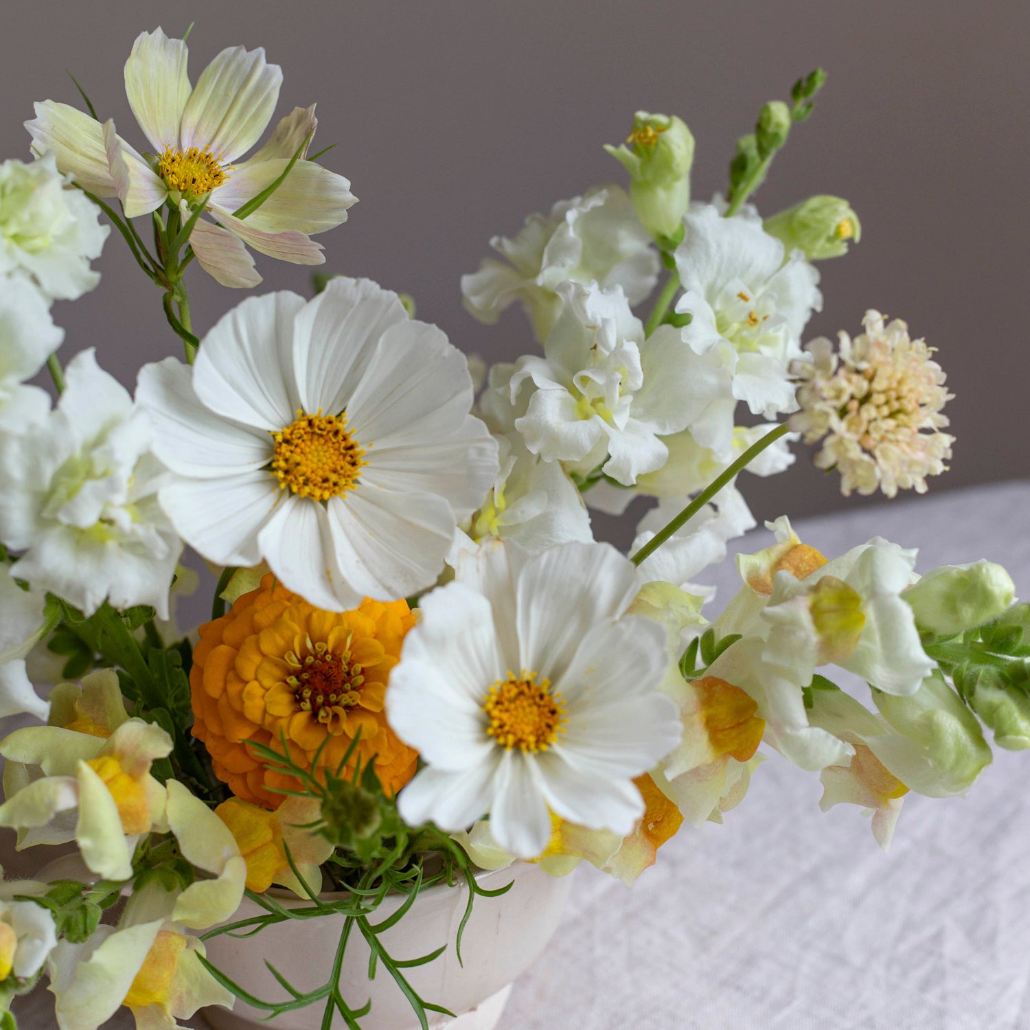 Blumensamen Schmuckkörbchen Afternoon White