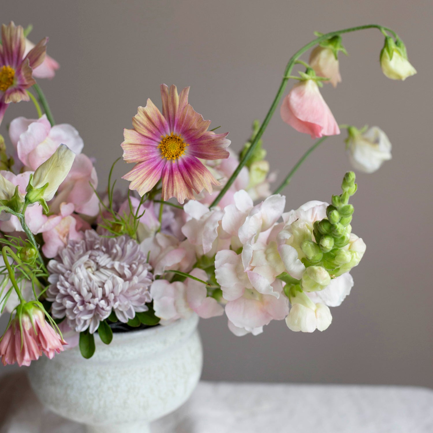 Blumensamen Schmuckkörbchen Apricotta