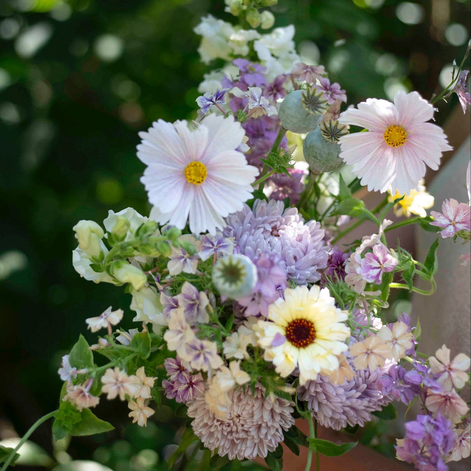 Blumensamen Schmuckkörbchen Cupcake Blush