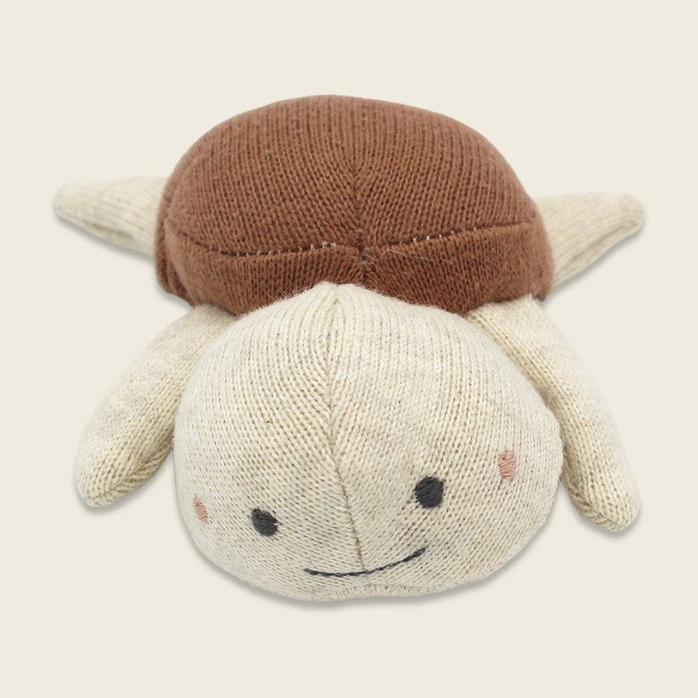 Babyrassel Schildkröte - braun