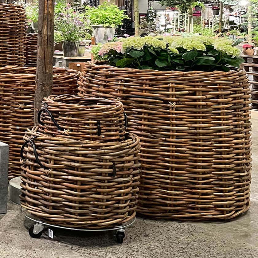 Rattan Korb rund magnum low - 110x100cm