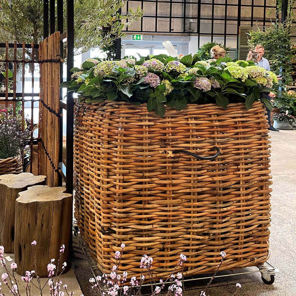 Rattan Korb eckig magnum low - 107x100cm