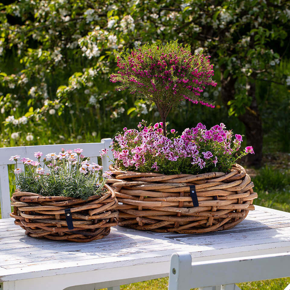 Rattan Schalen - rund