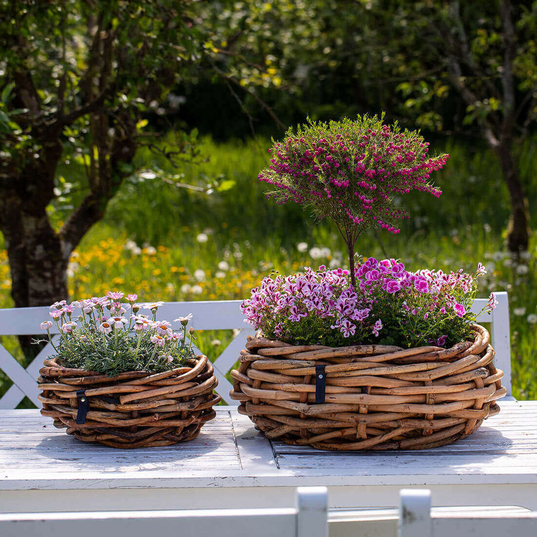 Rattan Schalen - rund