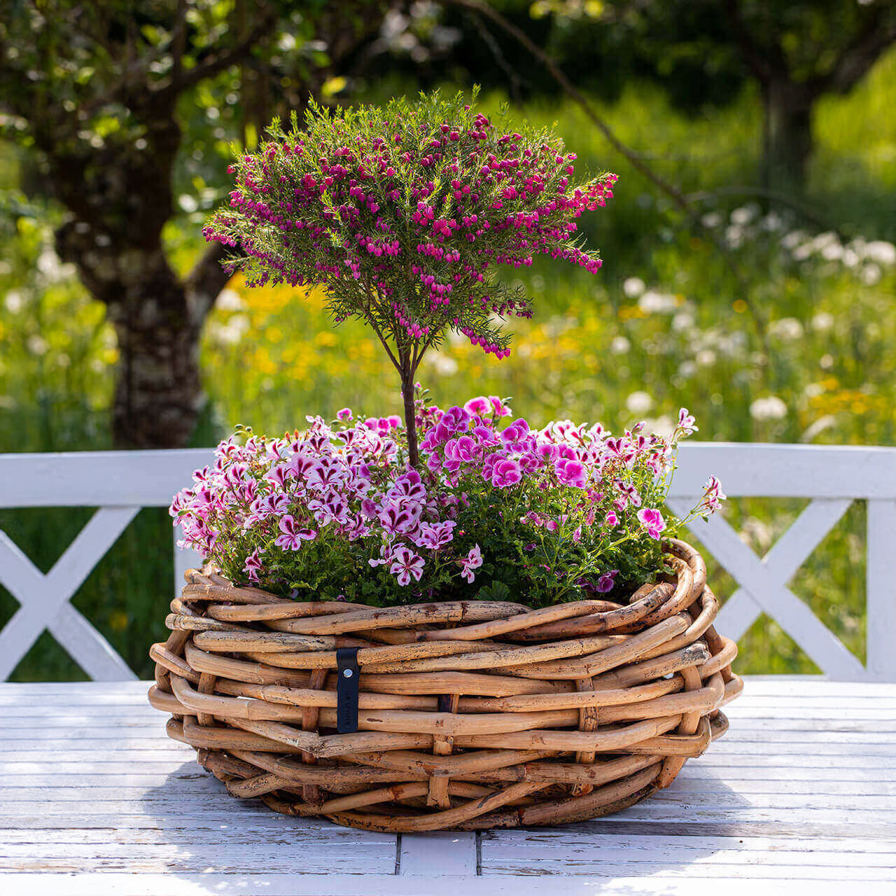 Rattan Schalen - rund