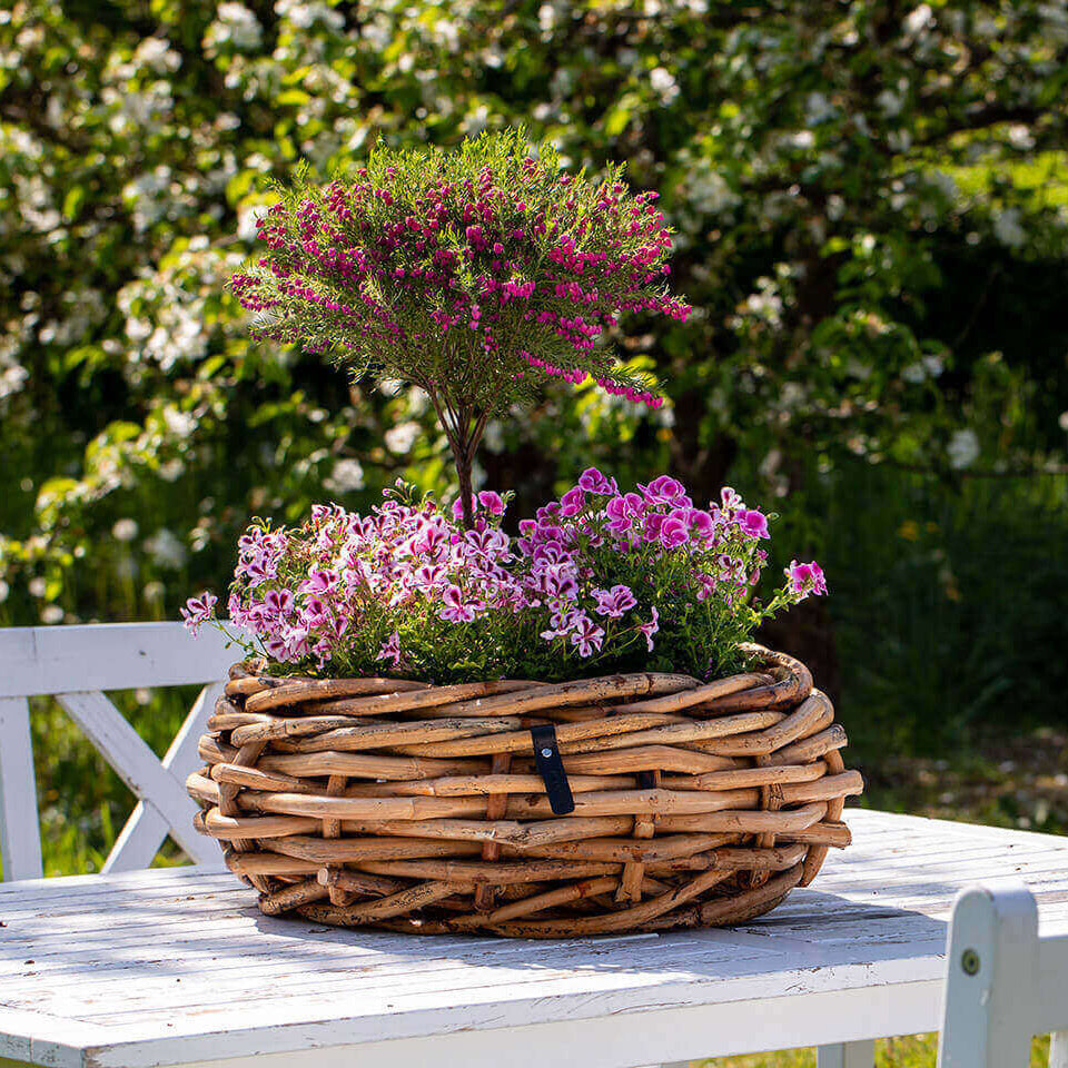 Rattan Schalen - rund