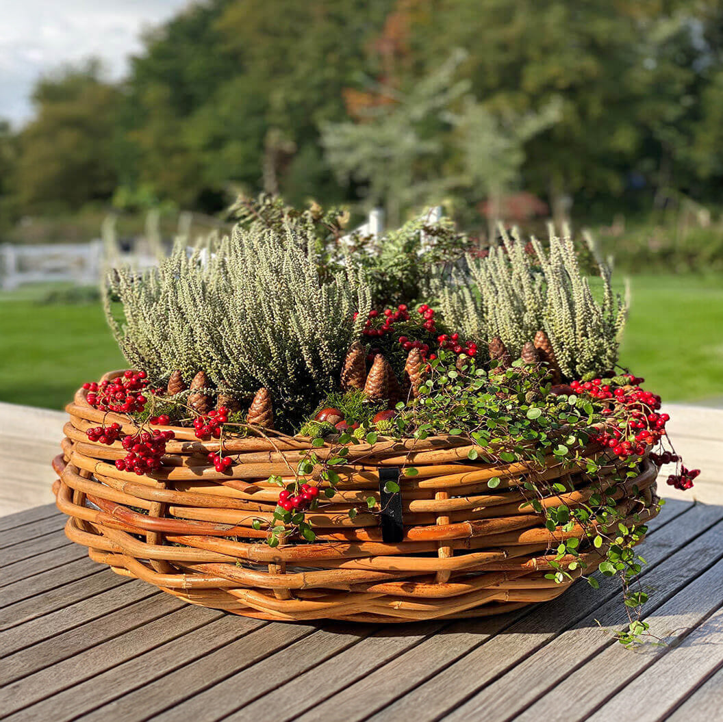 Rattan Schalen - rund