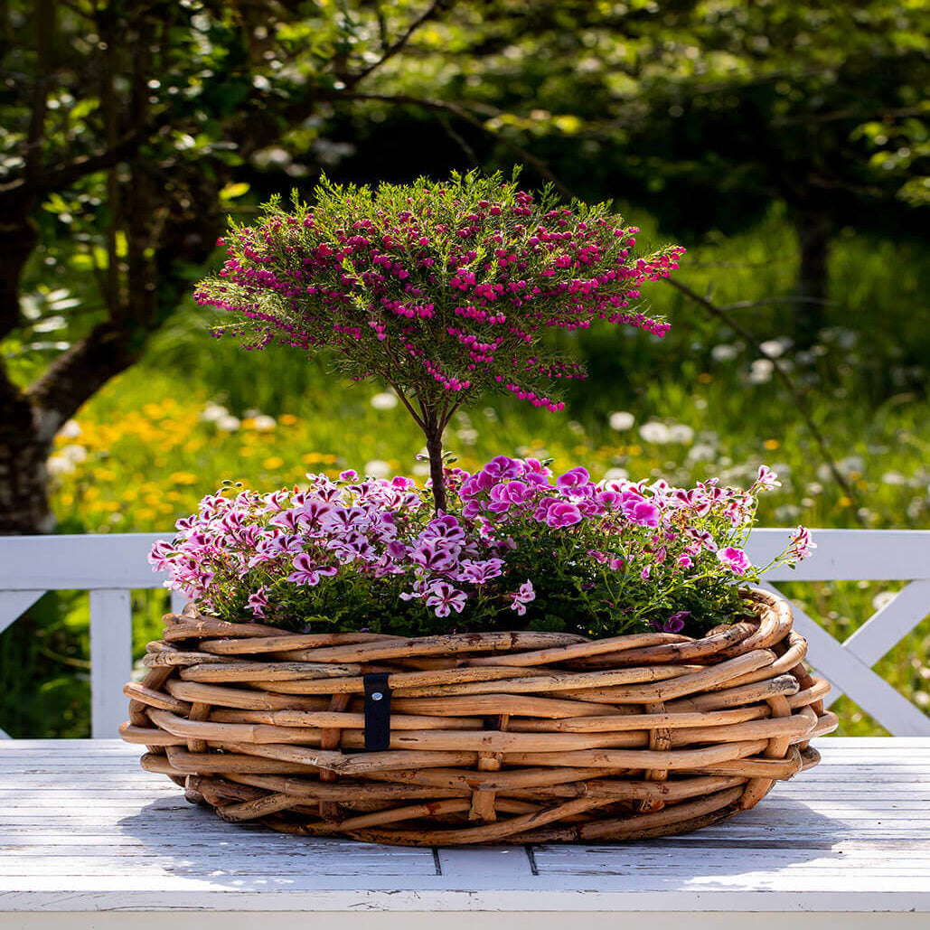 Rattan Schalen - rund