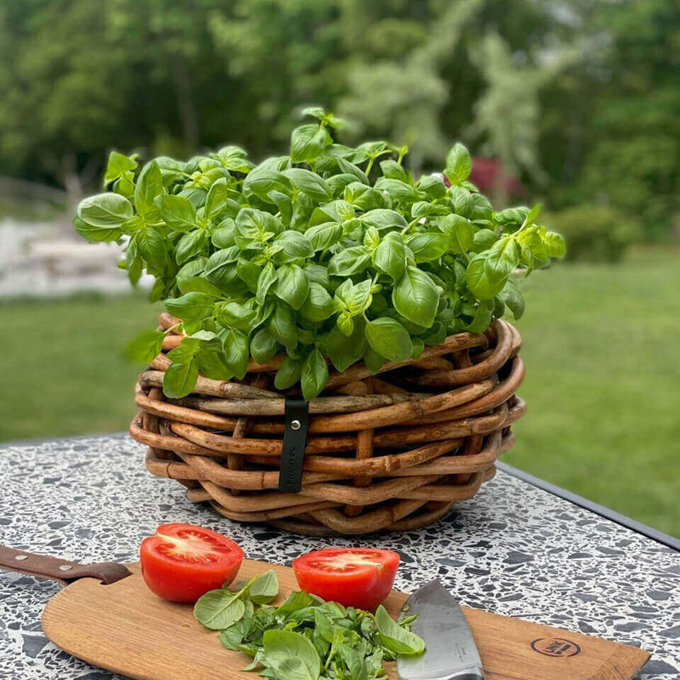 Rattan Schalen - rund