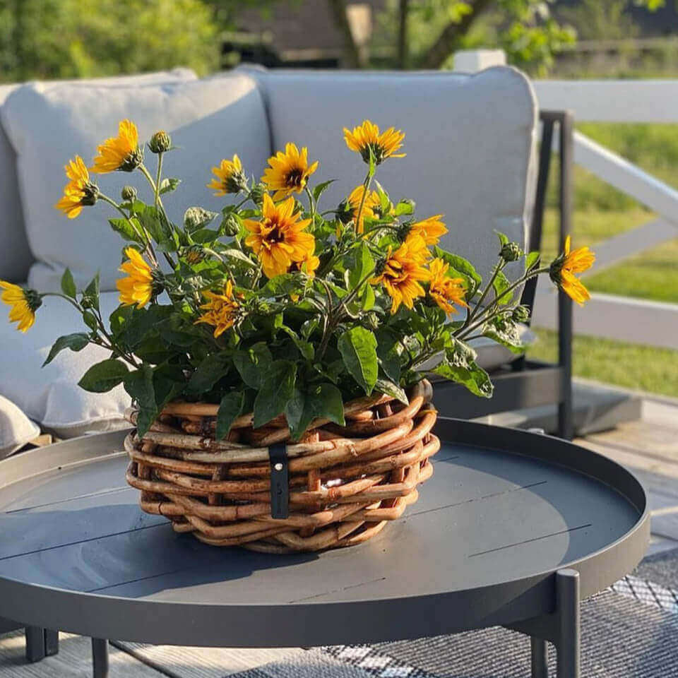 Rattan Schalen - rund