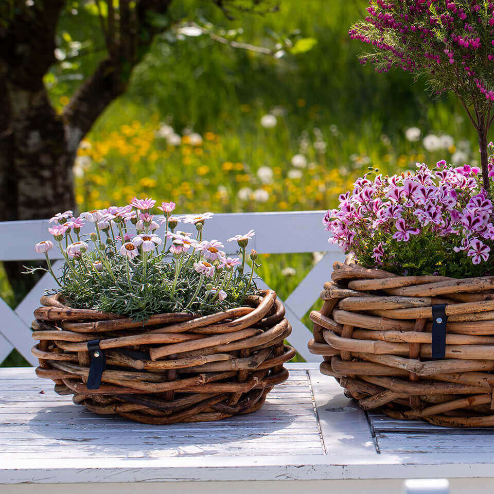 Rattan Schalen - rund