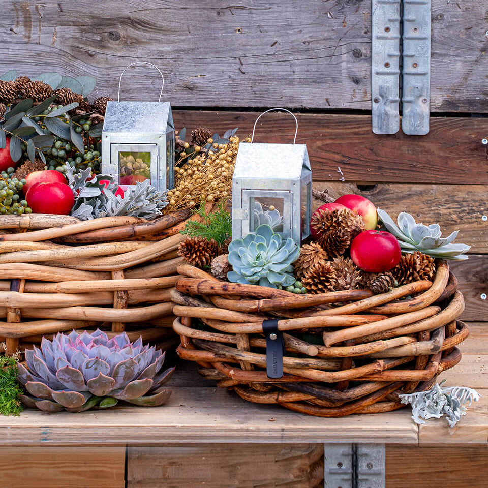 Rattan Schalen - rund