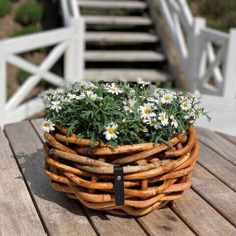 Rattan Schalen - rund