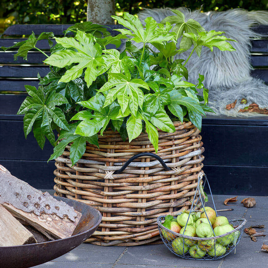 Rattan Korb rund maxi low - 45x39cm